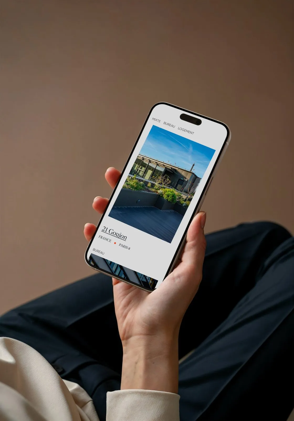 Fiche projet 21 Goujon sur smartphone tenu en main